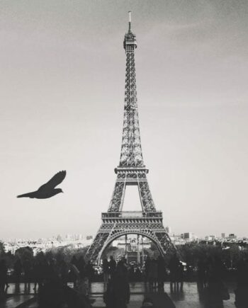 Photo design Un amour de Paris