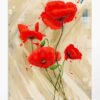 Tableau coquelicot rouge