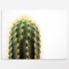Tableau cactus vert pour une décoration exotique chic